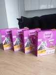Karma Whiskas Junior