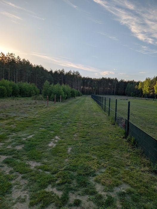 Sprzedam działkę w jurkach