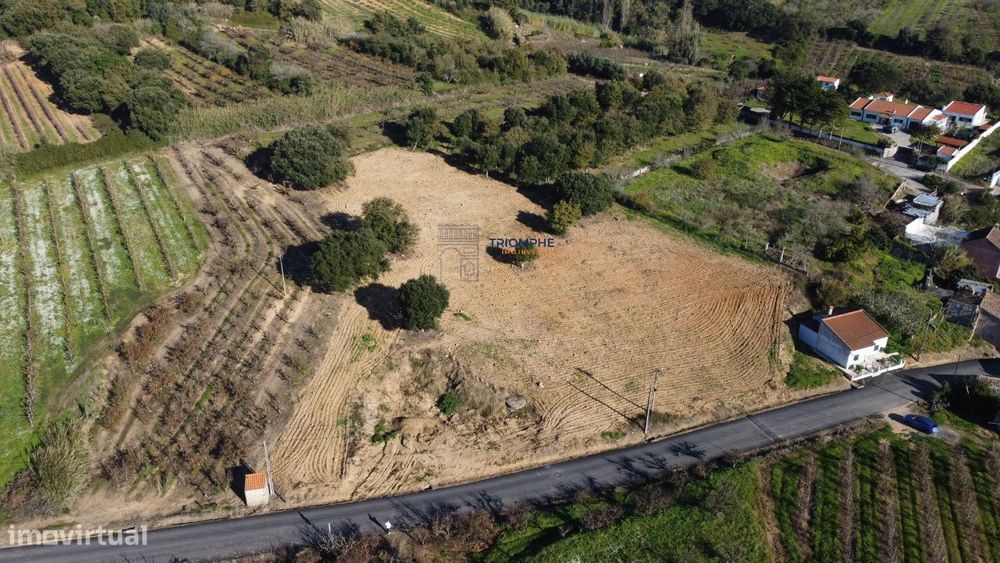 Terreno 10.000m2 c/ possibilidade construção Delgada, Bombarral
