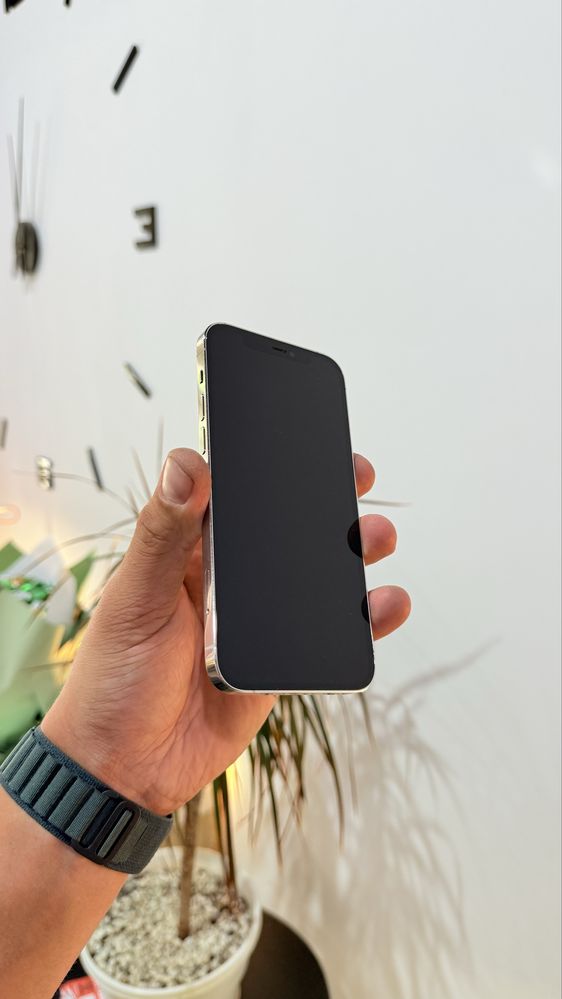 Iphone 12 Pro 128 Gb Silver акб 100%