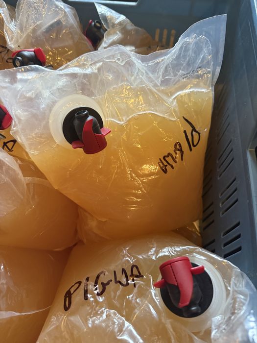 Sok z pigwowca ekologiczny