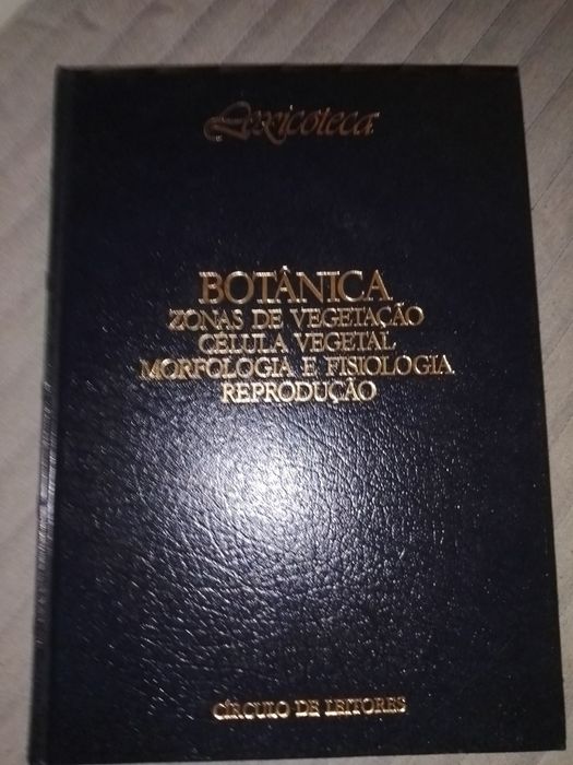 Livros semi-novos em ótimo estado