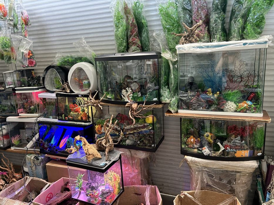 Акваріуми.           .