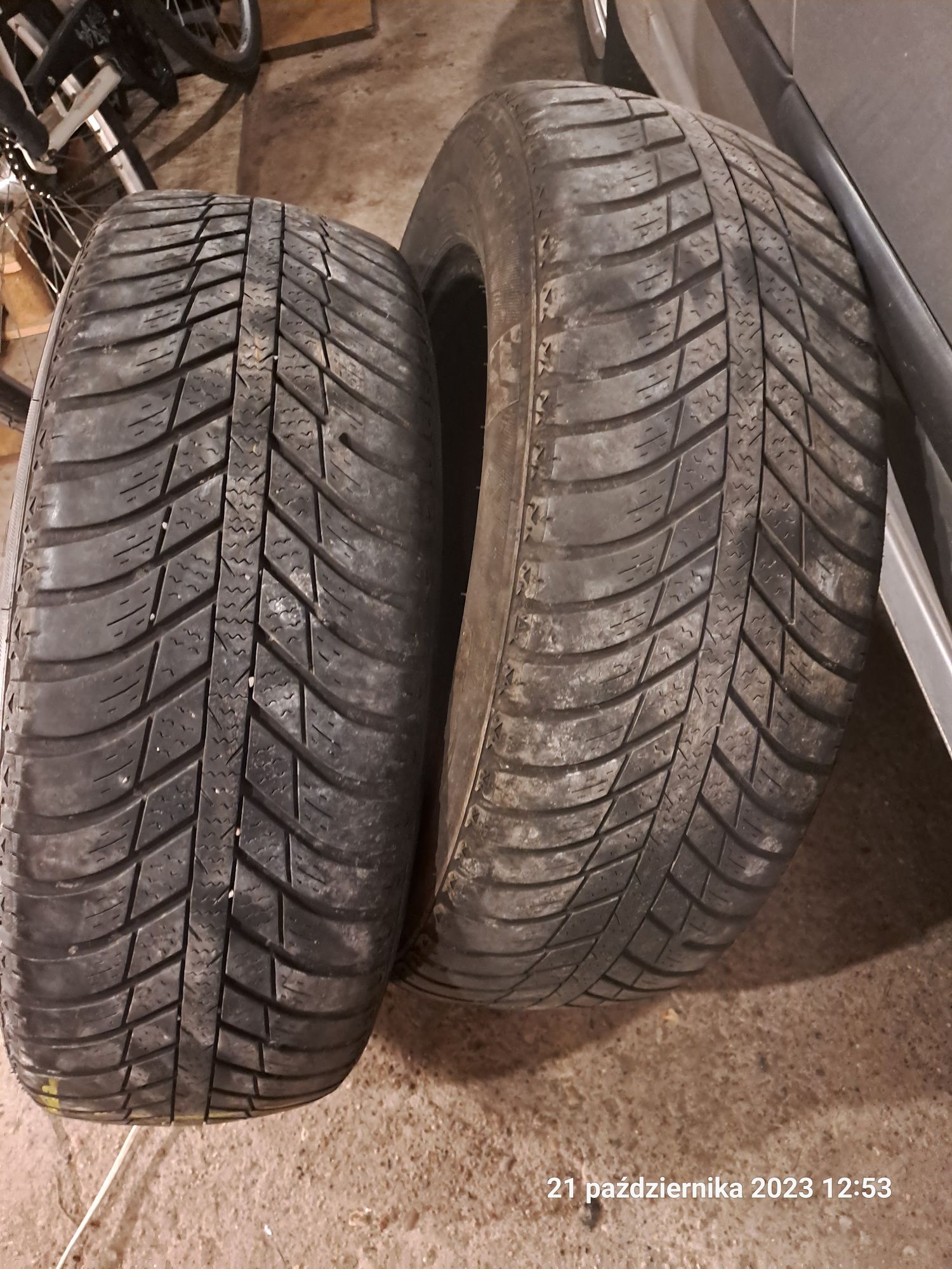 Opony całoroczne Nexen 195/65/R15