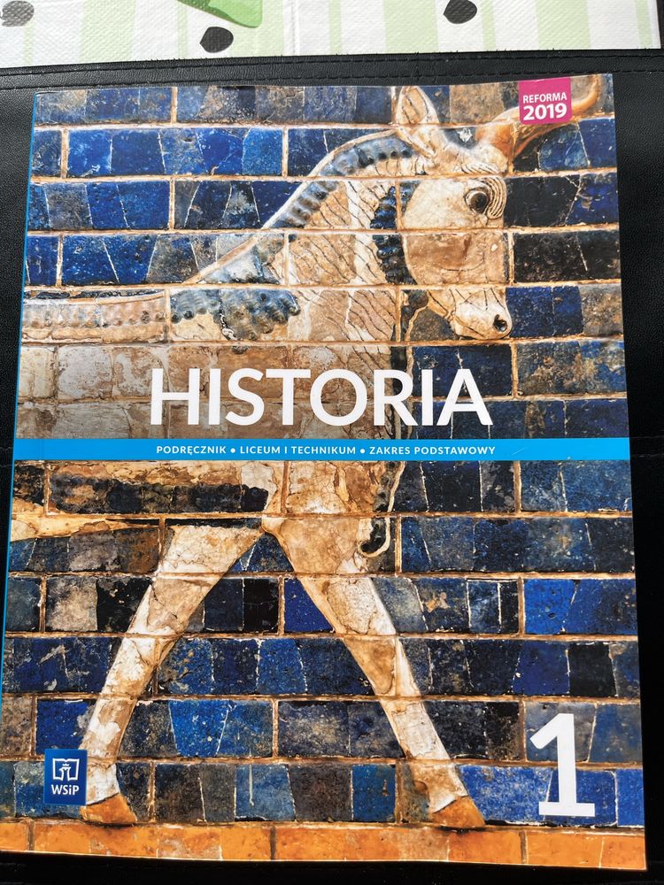 Historia do kl.1 podręcznik zskres podstawowy WSiP