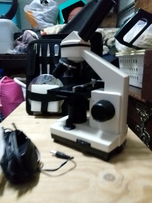 Microscópio BioLux 20x - 1280x Bresser