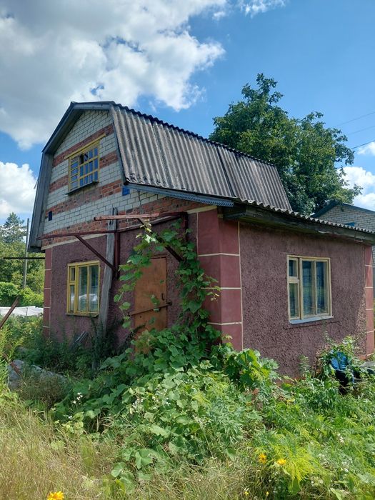 Дача з грубою в передмісті Чернігова