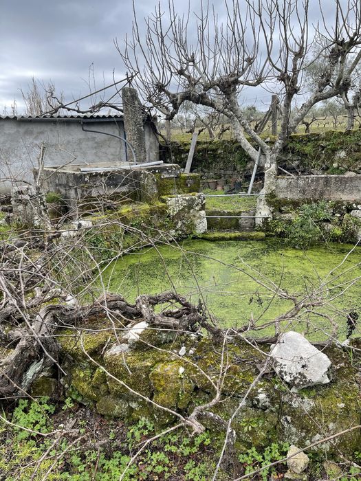 Vende-se Quinta 2500 m2