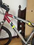 Bicicleta Adulto berg