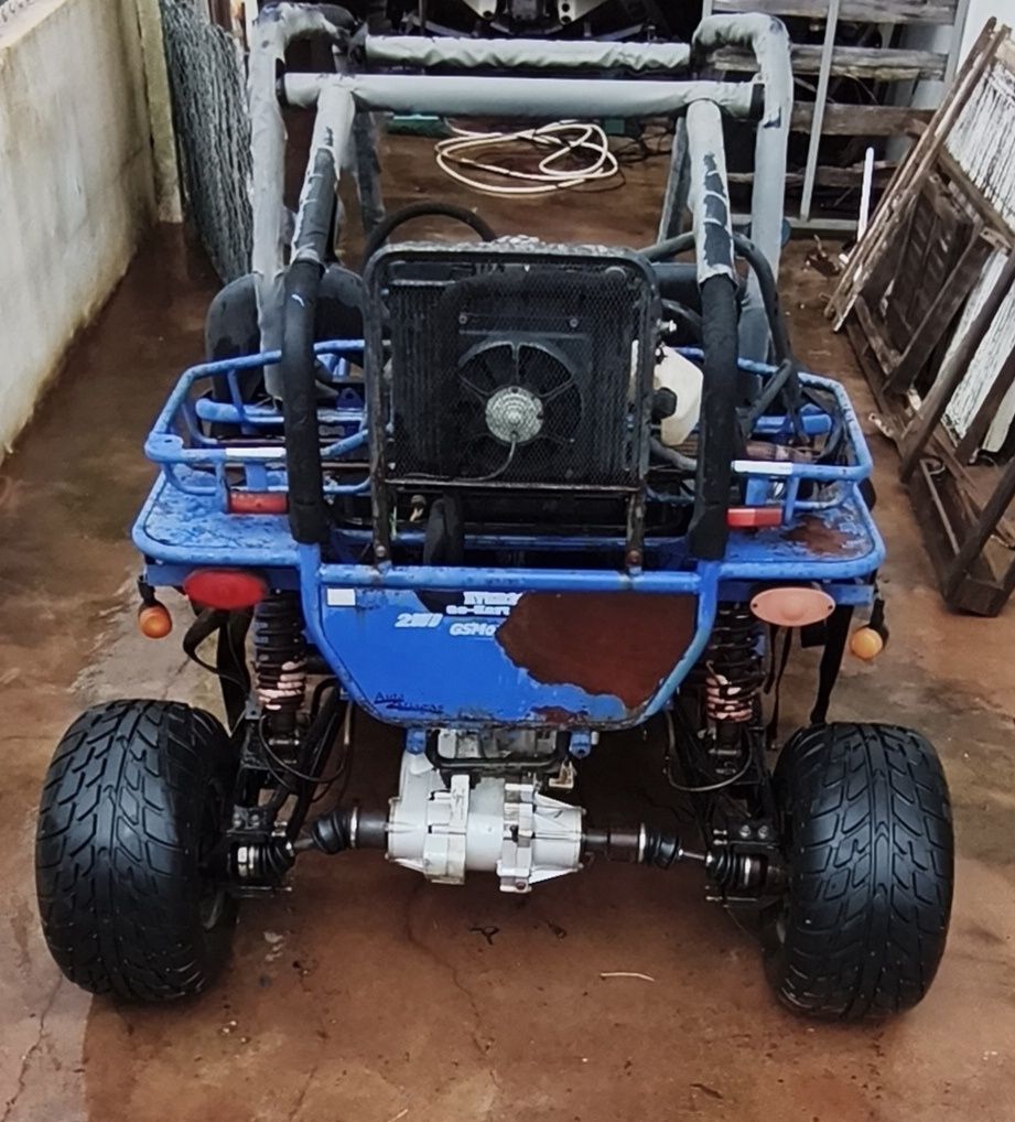 Buggy GSMoon 260