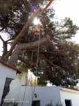 Corte e abate de árvores e limpeza de terrenos
