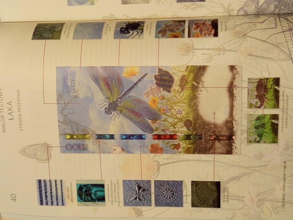 PWPW Banknot Walor Testowy Łąka Zapraszam!