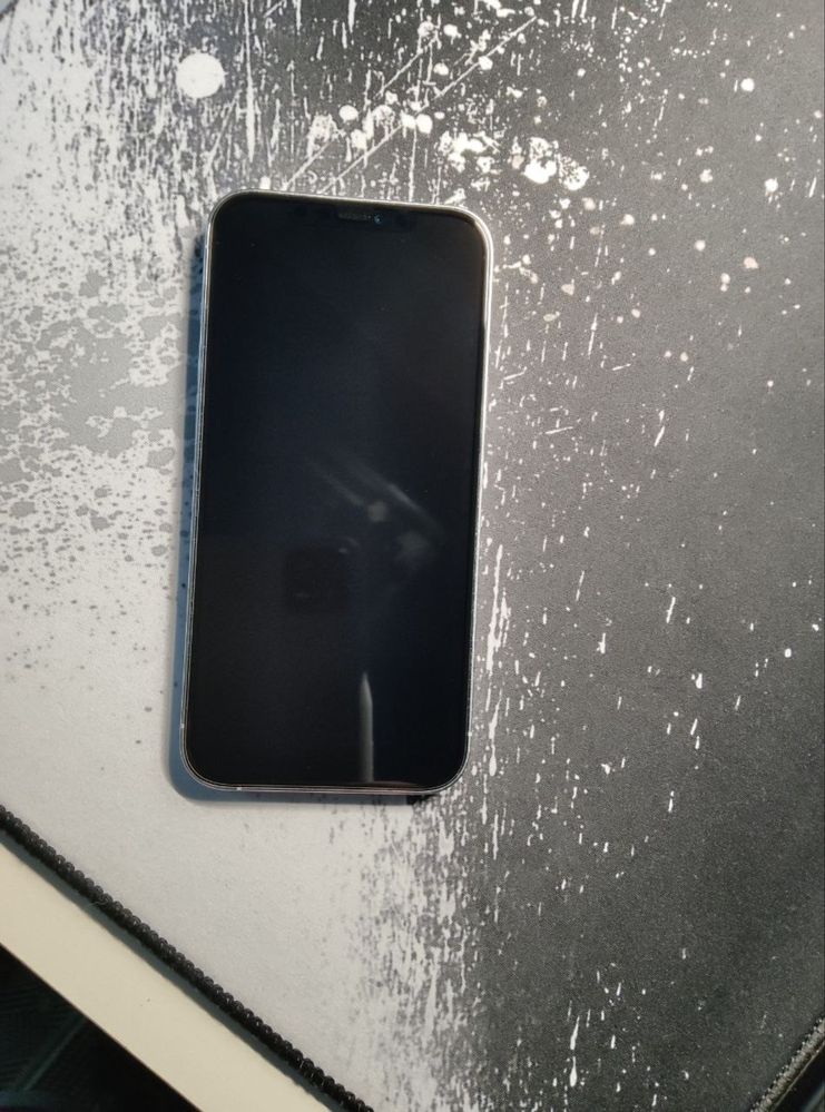 Iphone 12 pro max