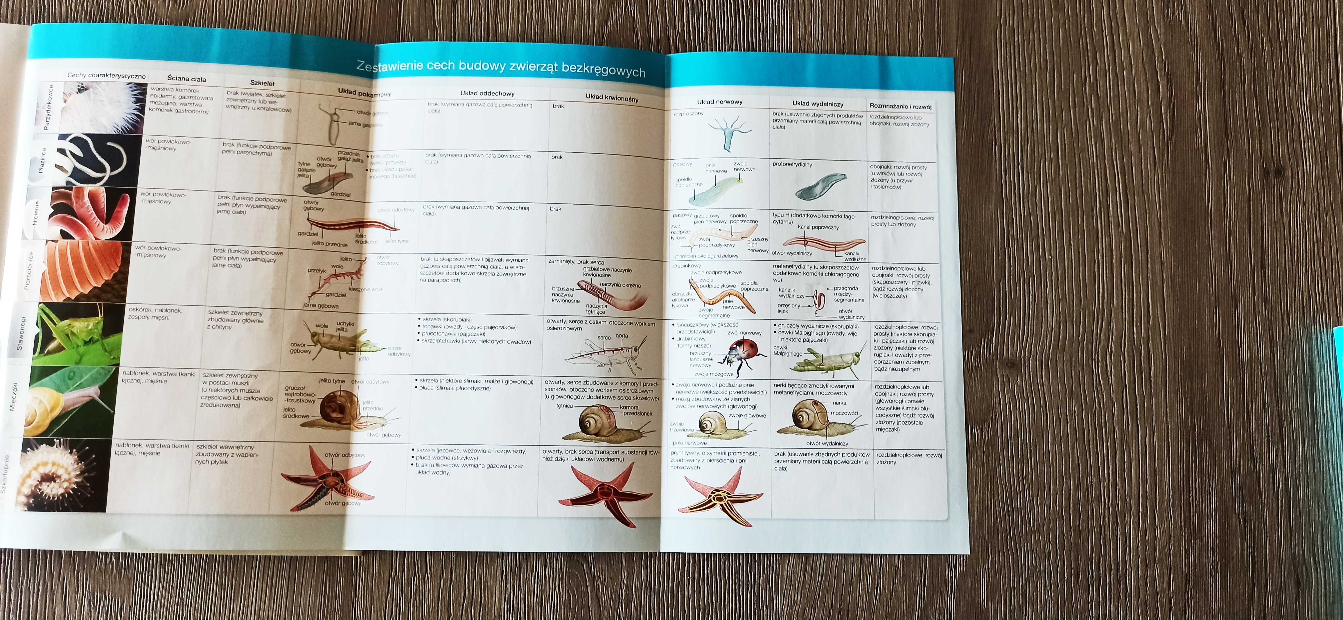 Biologia na czasie 1 Zakres rozszerzony