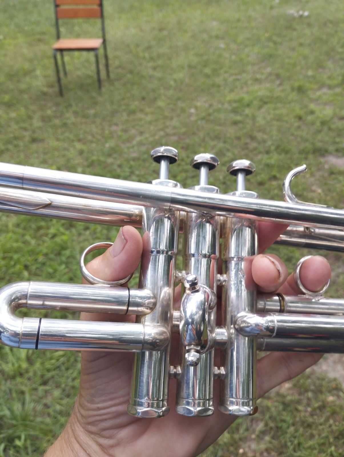труба Schilke S 32 c двумя кронами
