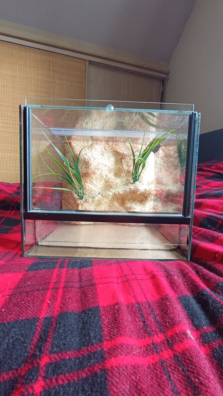 Terrarium szklane 25×25×22