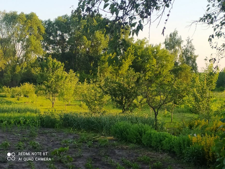 Продажа дачного участка