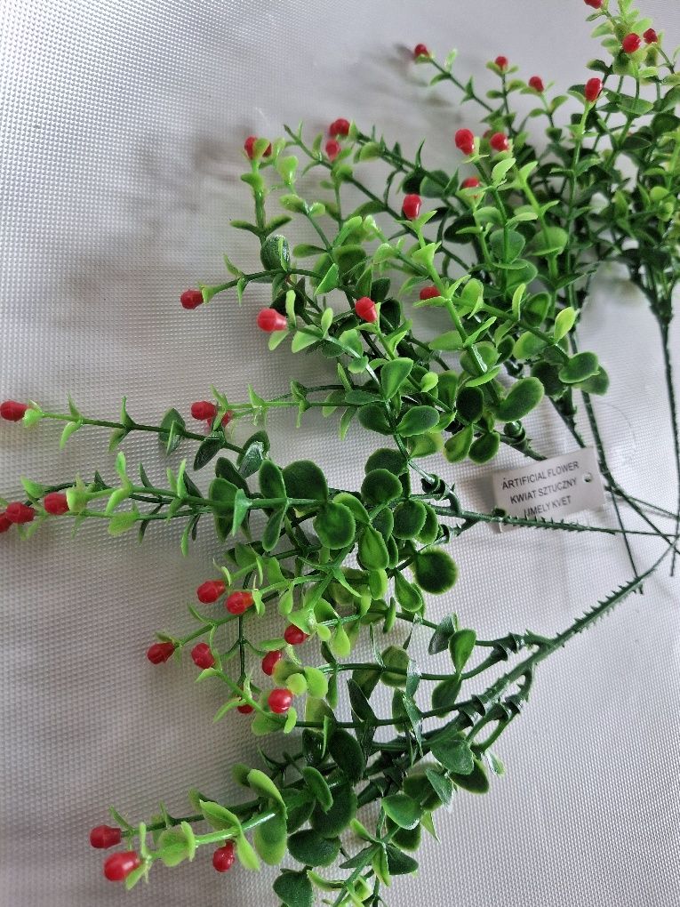 Borówka kwitnaca idealna na stroik nowa 6szt wys22cm