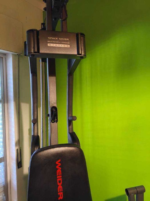 Desporto/Musculação