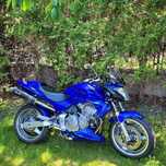 Honda hornet 600 sprowadzona max tuning Devil carbon liść 29tkm cbr