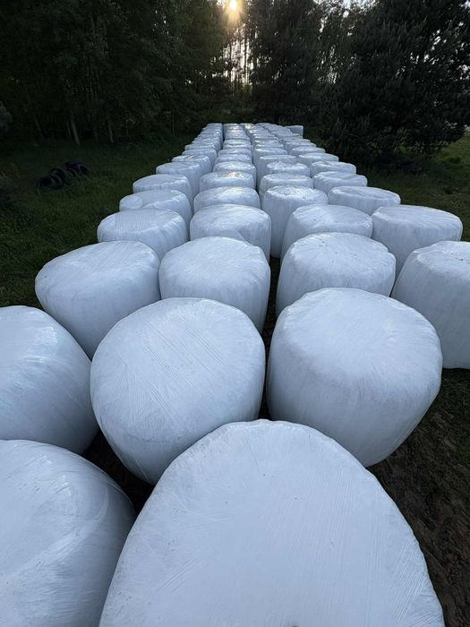 Sprzedam bele 130  mieszanko Gorzowska