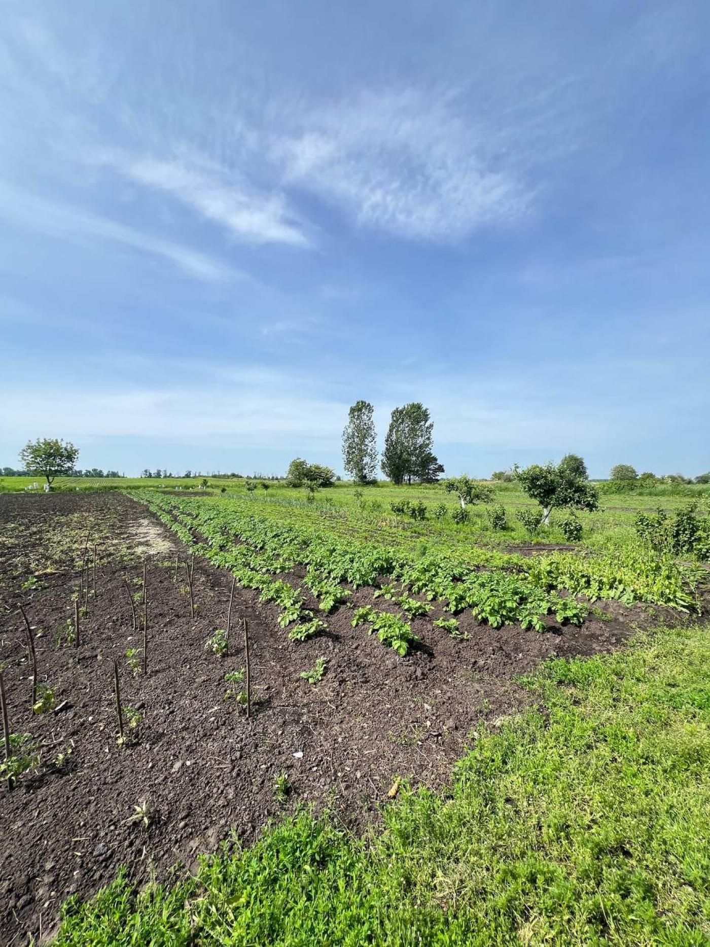 Будинок продаж . С.Тарасівка