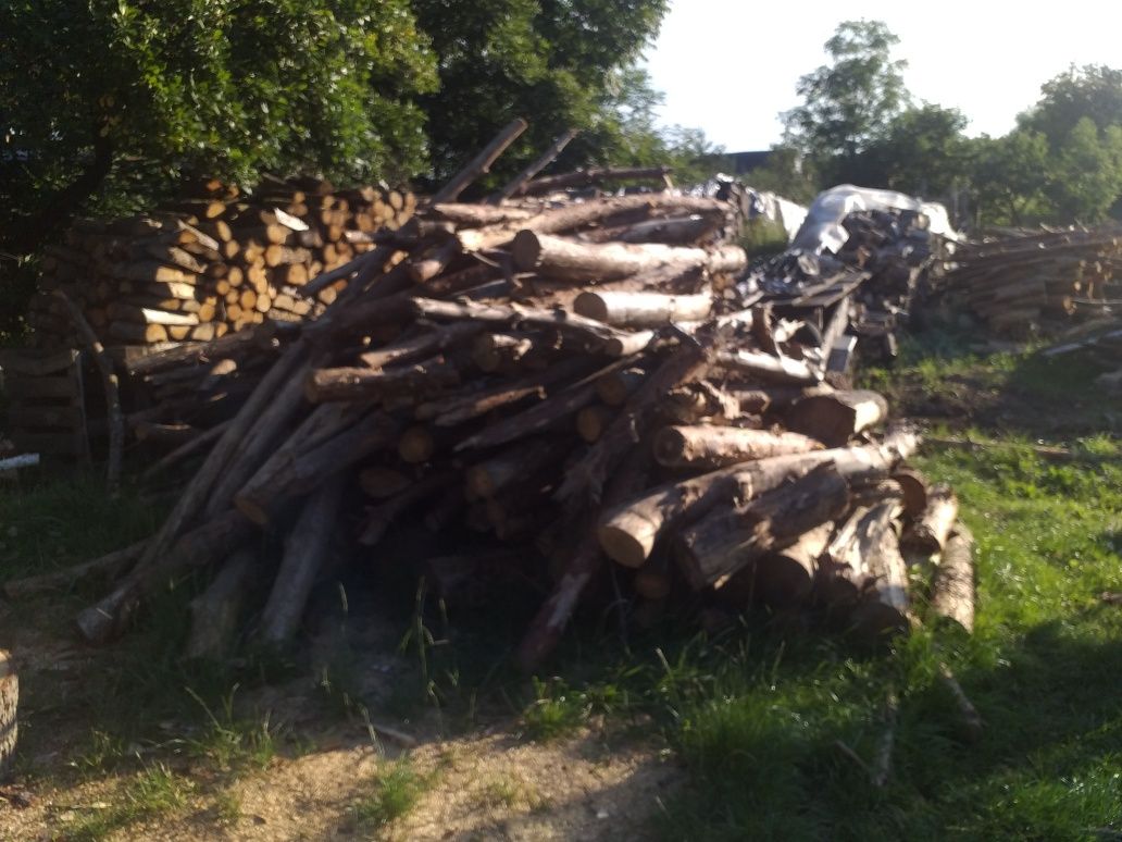 Drewno opałowe iglaste i liściaste