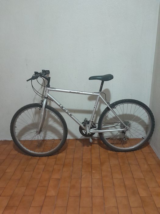 Bicicleta de adulto