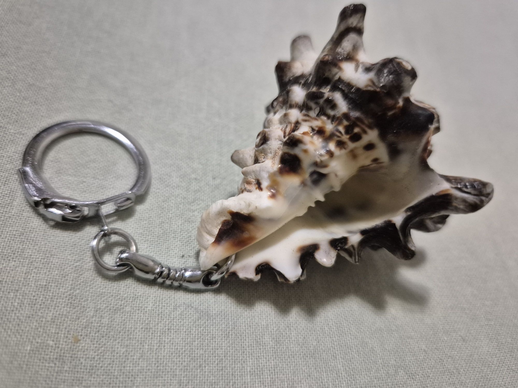 Брелок из морской ракушки
