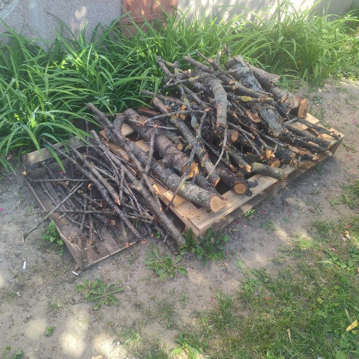 Drzewo z czereśni do wędzenia