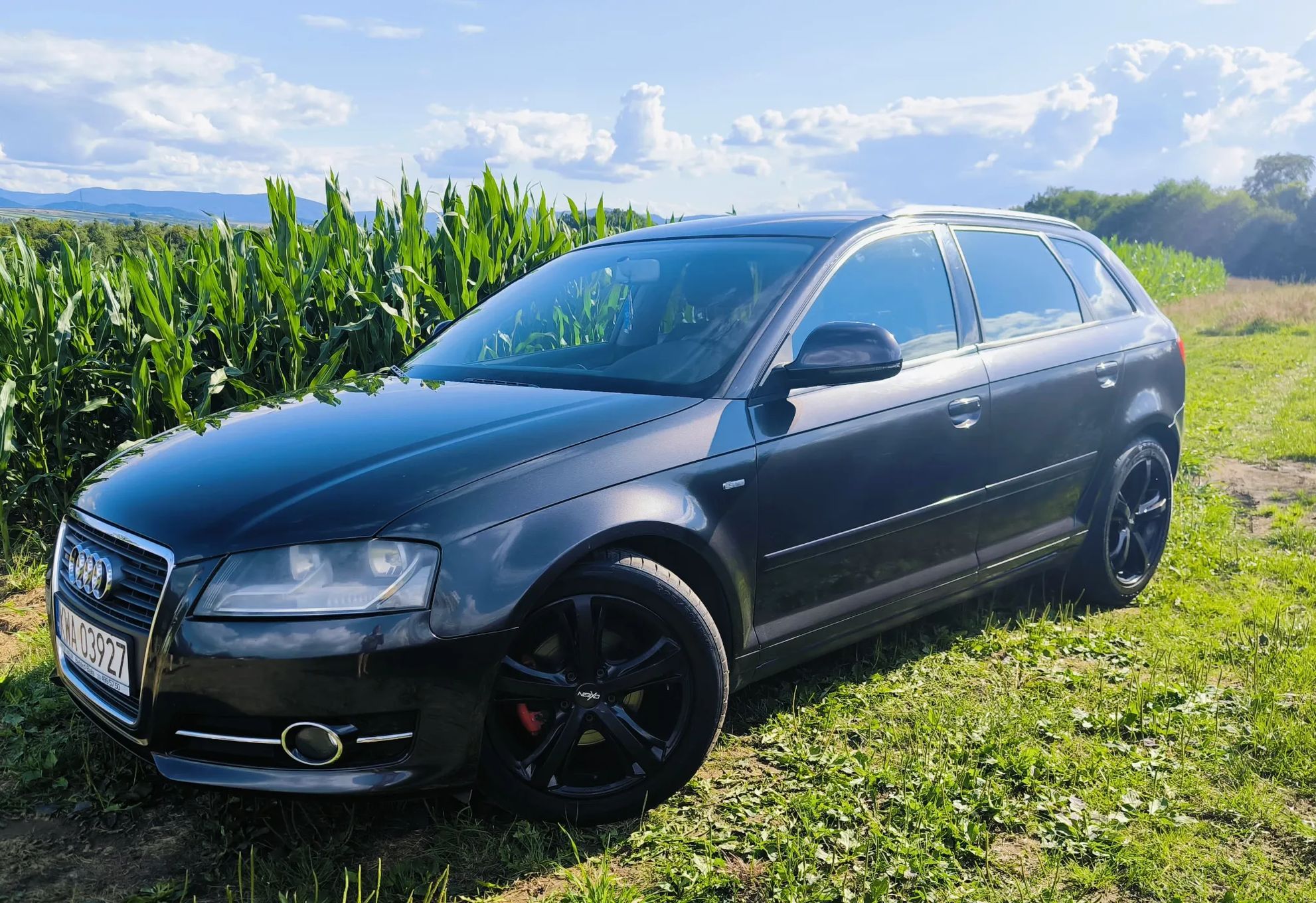 Audi A3 Audi A3 8P 1.8 TFSI