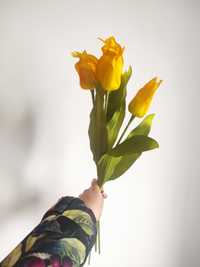 Zestaw 4 żółtych tulipanów