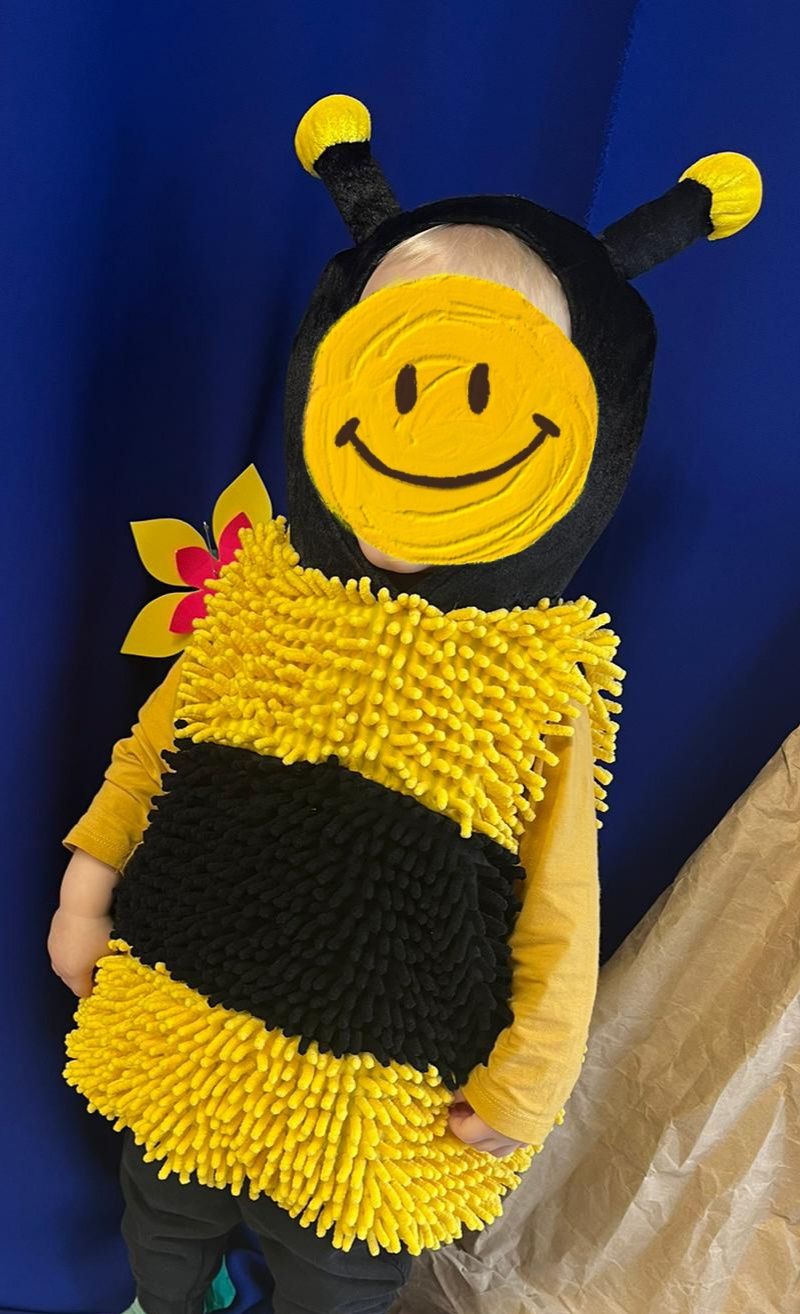 Pszczoła 80 86 strój pszczółka kostium przebranie chłopca dziewczynki