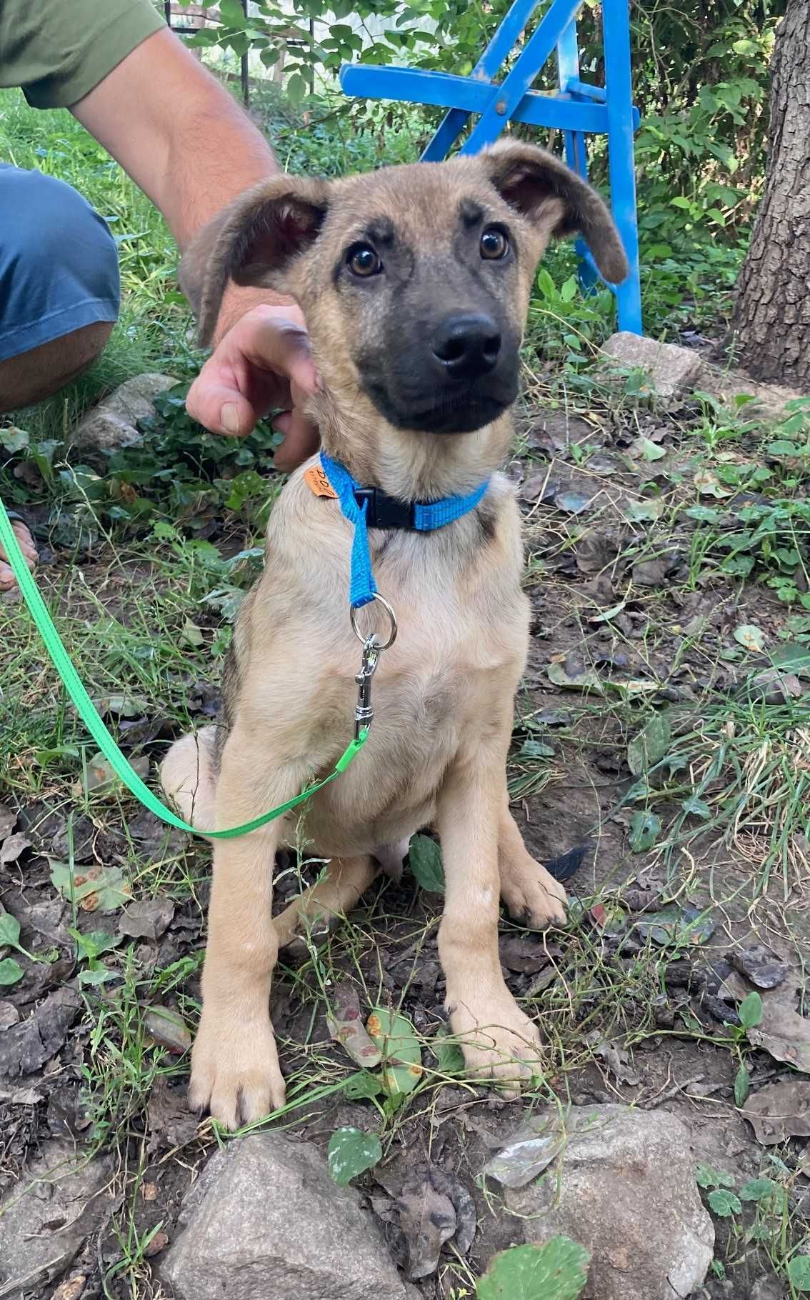 Красивий хлопчик, 5 міс