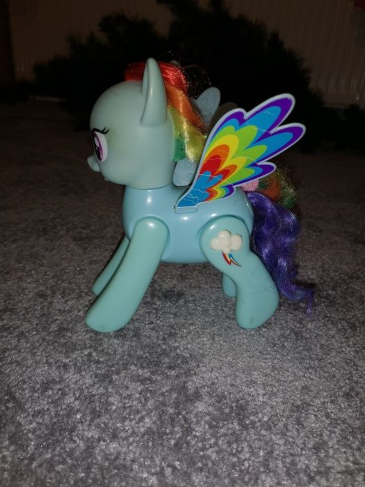Konik pony Rainbow Dash