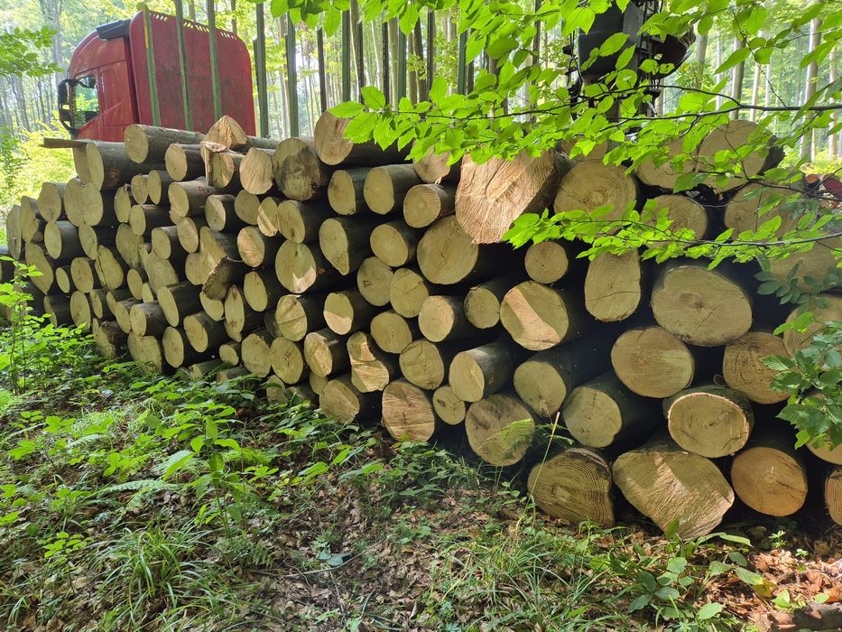 Drewno stosowe buk, jesion, jawor wałki kominkowe opałowe metry