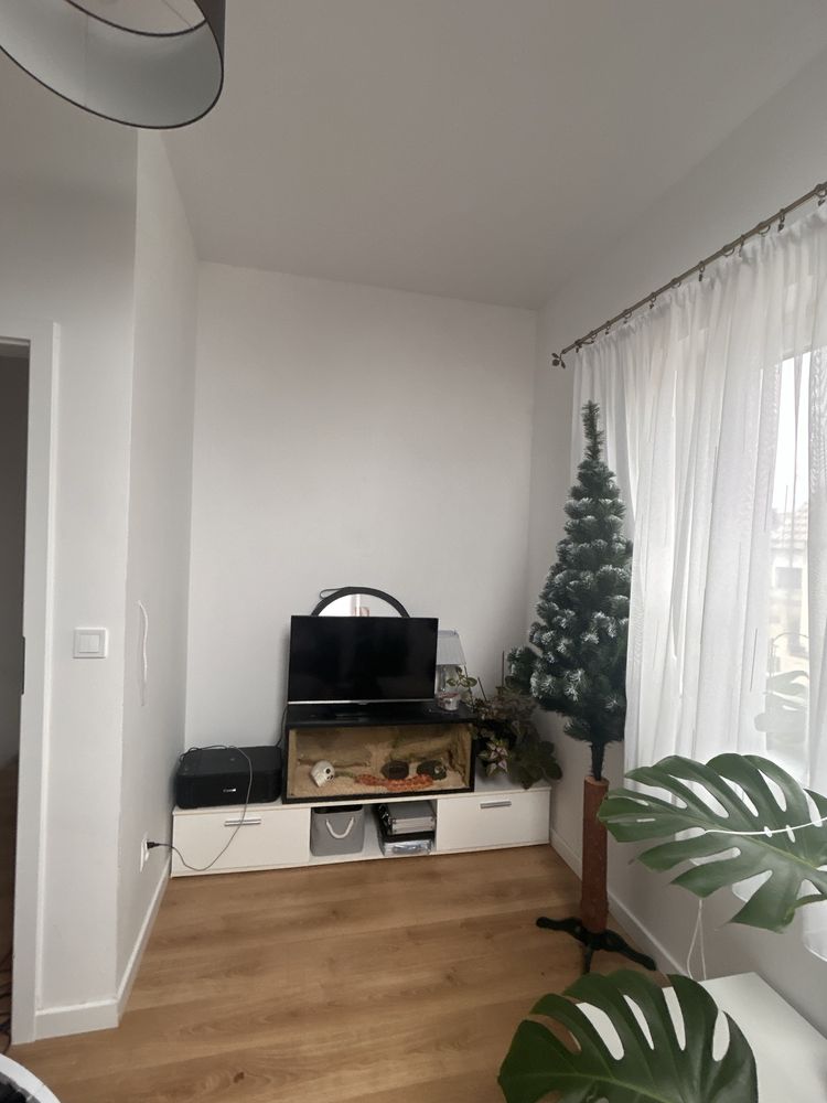 Sprzedam weza zbozowego z terarium 90cm,
