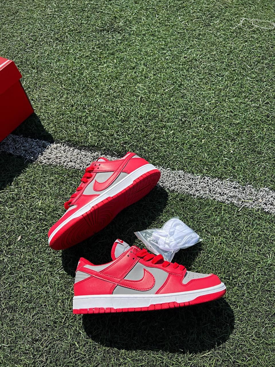 Кроссовки Nike SB Dunk Low Retro Medium Grey Red v2