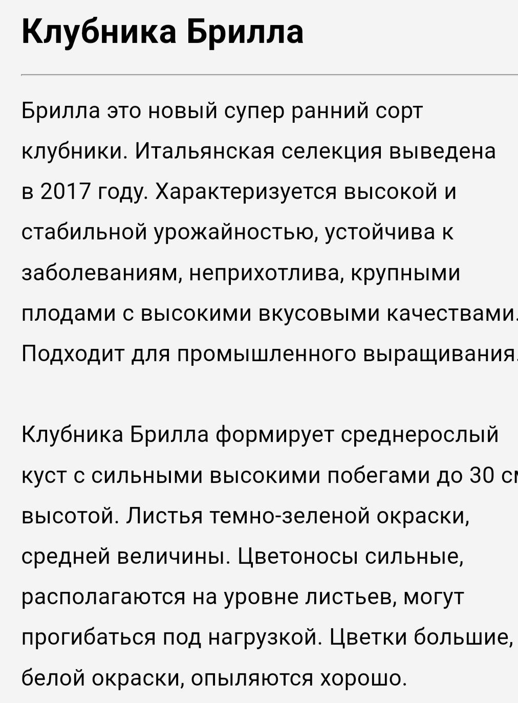 Ранняя клубника Брилла, итальянский сорт. Цена за 75 шт.