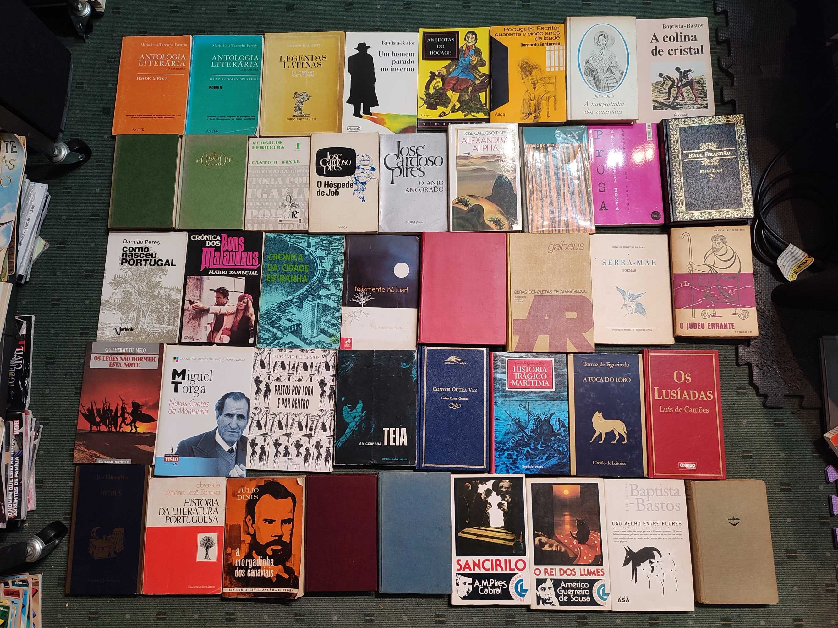 Grande Lote Livros Autores Portugueses e Lusófonos - cada 2 €