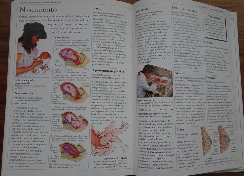 Dicionário Escolar do Corpo Humano