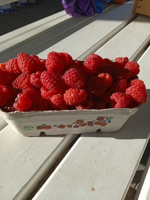 sok jeżynowo-malinowy sok z jeżyn 330ml wysyłka