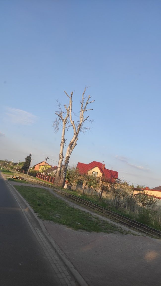 Zakładanie trawników siew trawy glebogryzarka separacyjna siatka krety