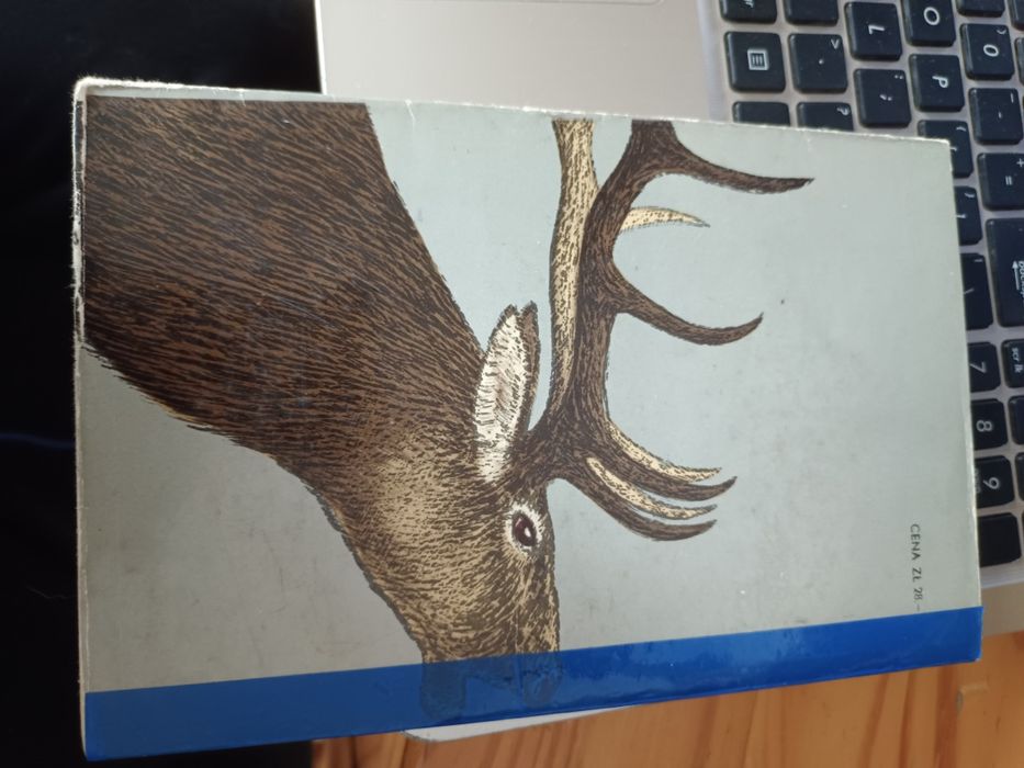 Paszka z Niedźwiedziego Jaru - Grigorij Fiedosiejew