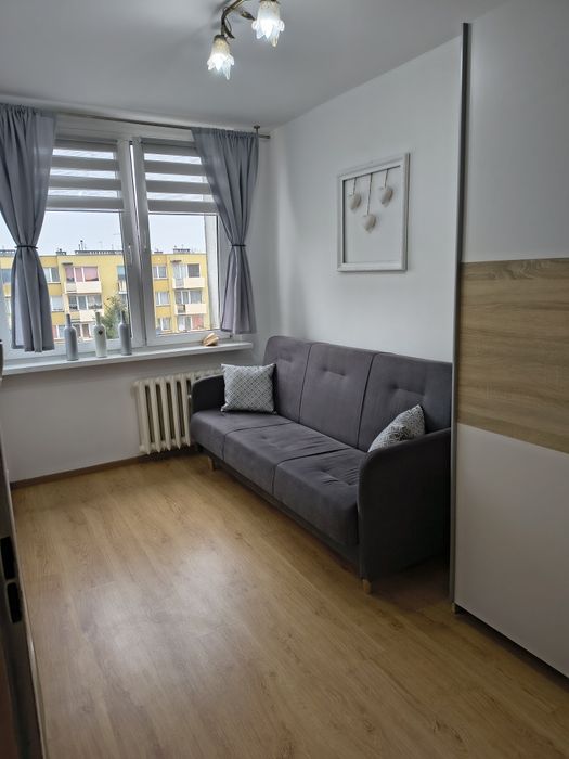 Mieszkanie do wynajęcia w centrum Świebodzina