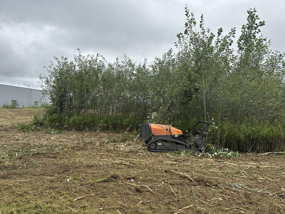 Mulczowanie karczowanie wycinka czyszczenie działek