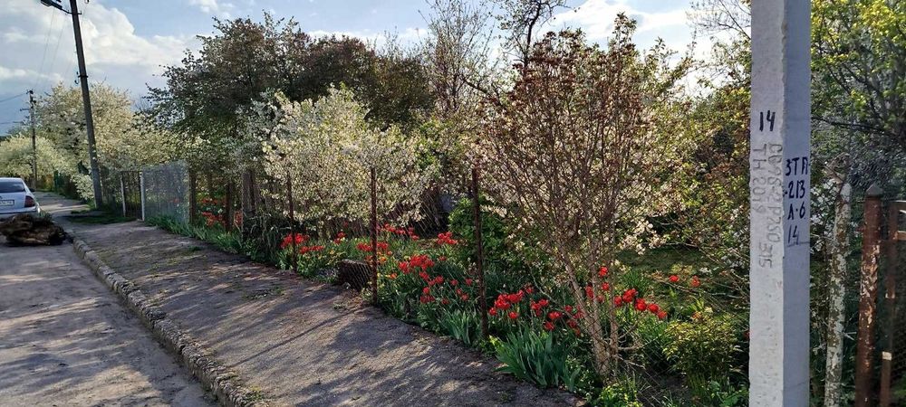 Продаж будинку центр Радехів