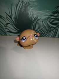 LPS Chomik #624 Hasbro unikat