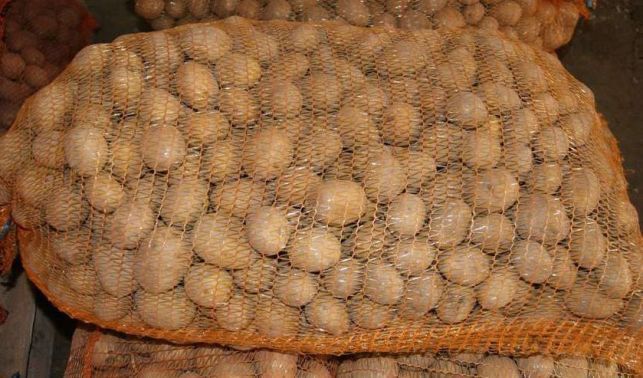 Ziemniaki odpadowe dla kur drobne paszowe luzem big bag transport pasz