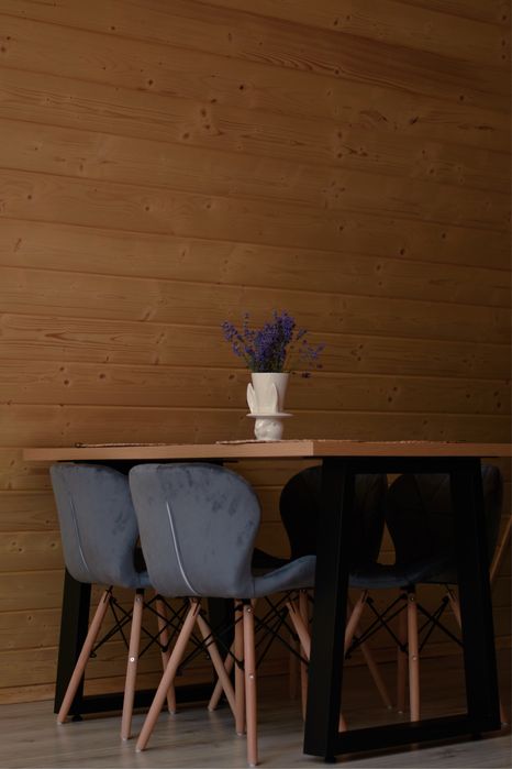 Skala_house твій ідеальний відпочинок